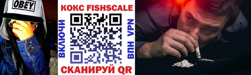 КОКАИН Fish Scale  сколько стоит  Кузнецк 