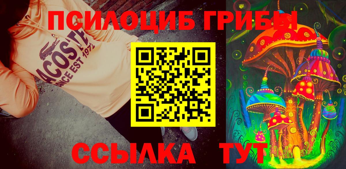 Галлюциногенные грибы мицелий Кузнецк