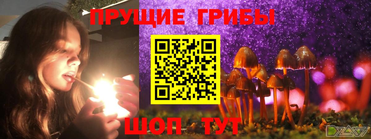 Псилоцибиновые грибы Psilocybe  Вход с VPN  Кузнецк 